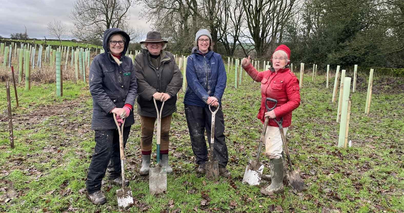 wi-treeplanting