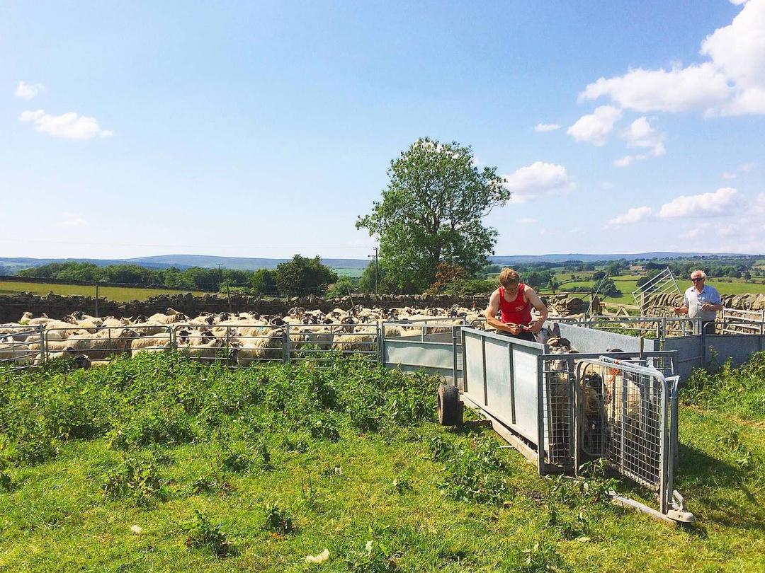 harrogate-farmer-plea