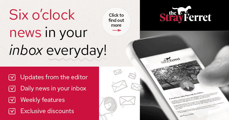 sf100-newsletter-sign-up-800x418