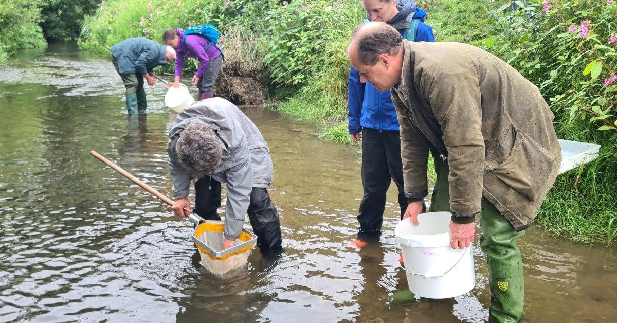 ydrt-riverfly-training-course